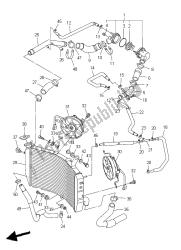 RADIATOR & HOSE