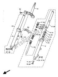 forcella anteriore