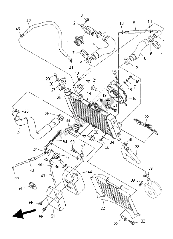 All parts for the Radiator & Hose of the Yamaha XJ6N 600 2011