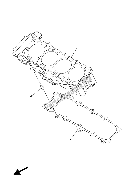 Tutte le parti per il Cilindro del Yamaha FZ1 SA 1000 2012