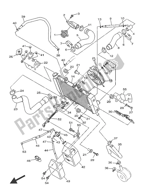 All parts for the Radiator & Hose of the Yamaha XJ6 FA 600 2016