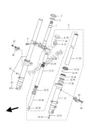 forcella anteriore