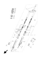 forcella anteriore