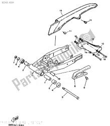 achterste arm