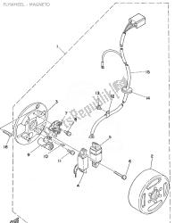 FLYWHEEL - MAGNETO