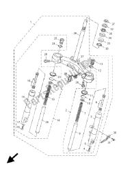 forcella anteriore