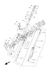 forcella anteriore