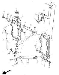 radiator slang