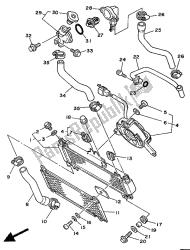 tubo del radiatore