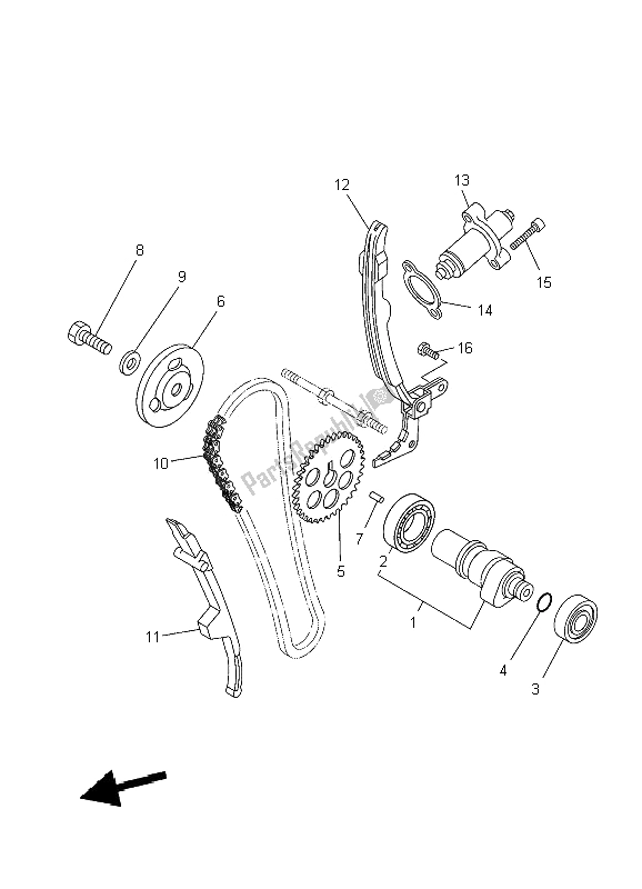 All parts for the Camshaft & Chain of the Yamaha YBR 250 2009