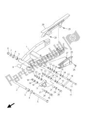 achterste arm