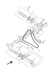 CAMSHAFT & CHAIN