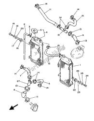 RADIATOR HOSE