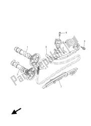 CAMSHAFT & CHAIN