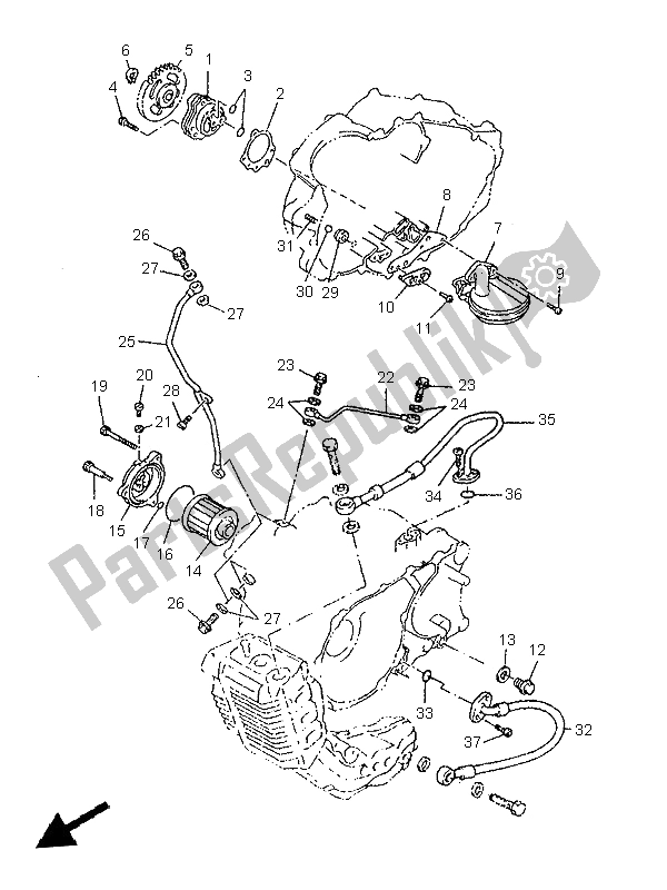 Tutte le parti per il Pompa Dell'olio del Yamaha SZR 660 1997