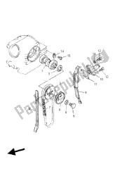 CAMSHAFT & CHAIN