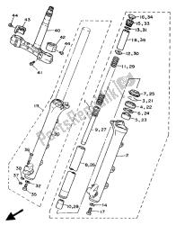 forcella anteriore