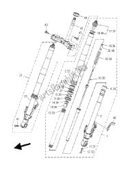 forcella anteriore