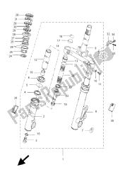 forcella anteriore