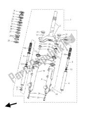 forcella anteriore