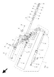 forcella anteriore