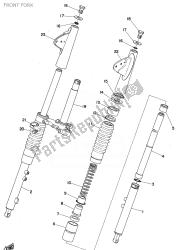 forcella anteriore