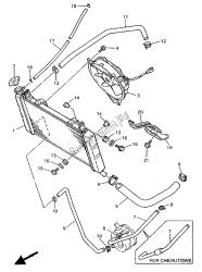 RADIATOR & HOSE