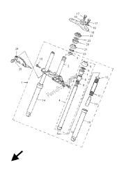 forcella anteriore