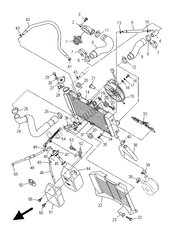 Alle onderdelen voor de Radiator Slang van de Yamaha XJ 6N 600 2014