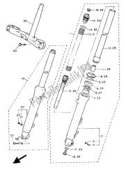 forcella anteriore