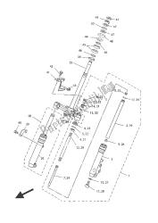 forcella anteriore