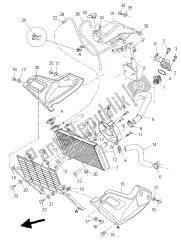 RADIATOR & HOSE