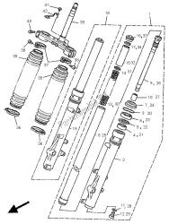 forcella anteriore