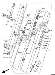 forcella anteriore