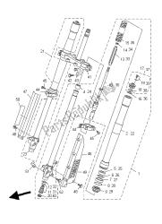 forcella anteriore