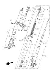 forcella anteriore