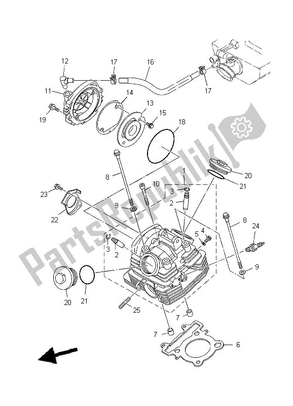 All parts for the Cylinder Head of the Yamaha YBR 250 2009