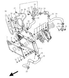 RADIATOR & HOSE