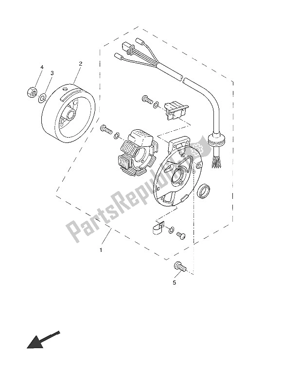 All parts for the Generator of the Yamaha CW 50 LN 2016