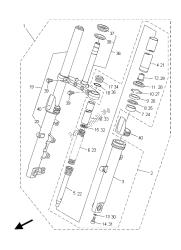 forcella anteriore