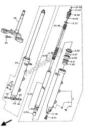 forcella anteriore