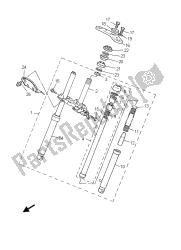 forcella anteriore