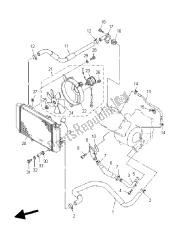 RADIATOR & HOSE