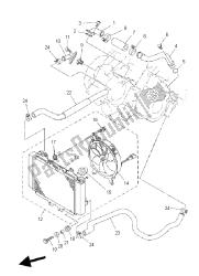 RADIATOR & HOSE