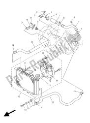 RADIATOR & HOSE