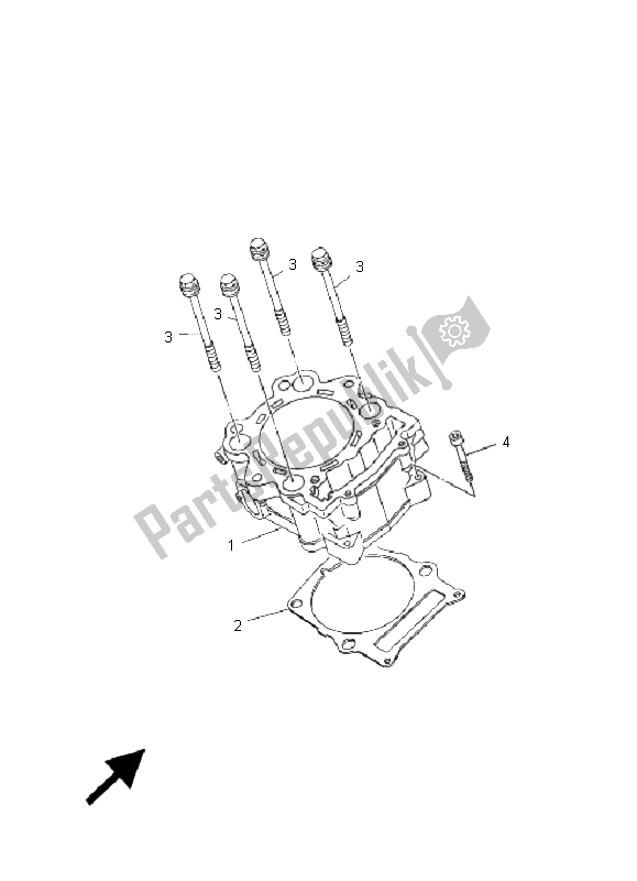 All parts for the Cylinder of the Yamaha YXR 700F Rhino 2009