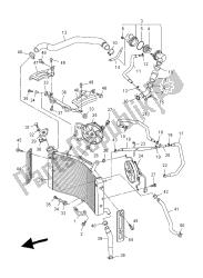 RADIATOR & HOSE