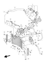 RADIATOR & HOSE