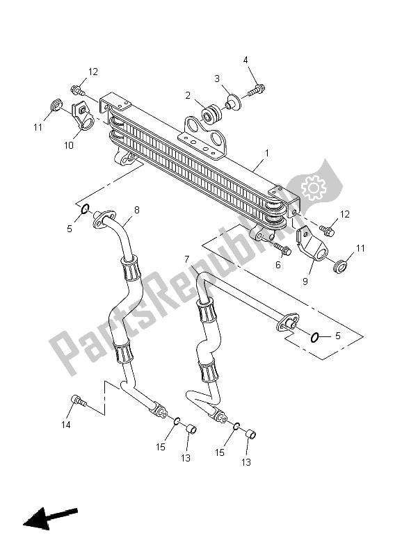 All parts for the Oil Cooler of the Yamaha YBR 250 2009