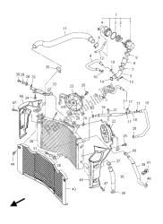 RADIATOR & HOSE